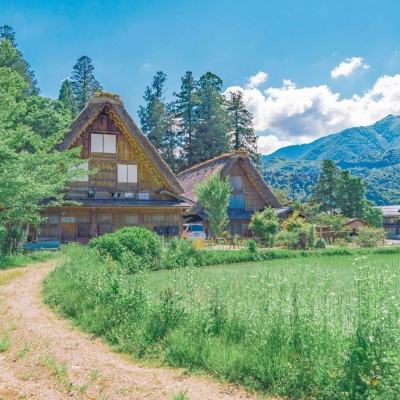 江南娱乐在线登录平台